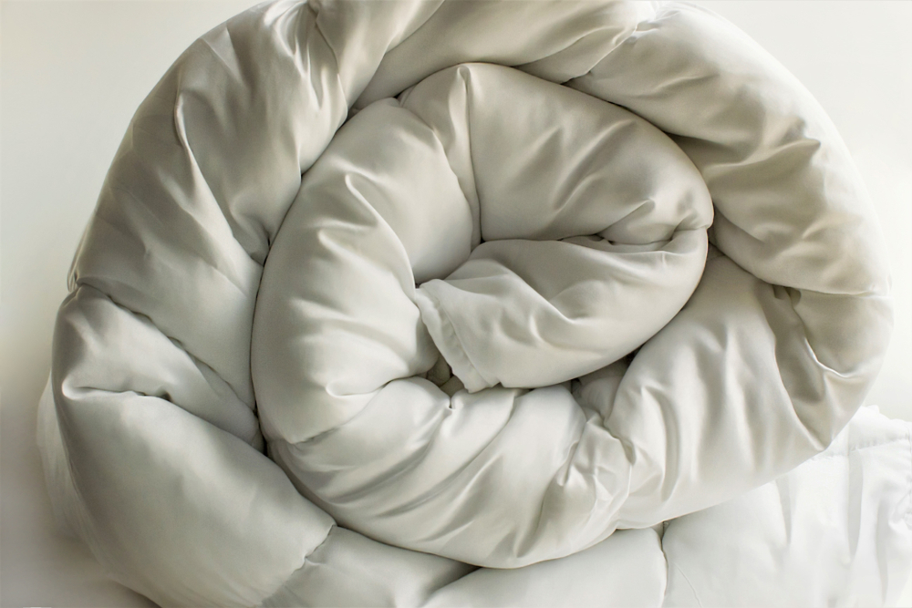 Pourquoi le duvet d’oie est bon pour vous ?